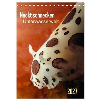 Nacktschnecken - Unterwasserwelt 2027 (Tischkalender 2027 DIN A5 hoch), CALVENDO Monatskalender