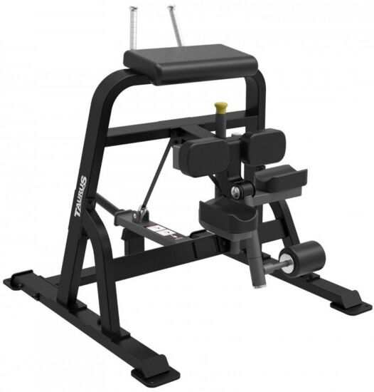 Taurus Elite Plate Loading Iso Leg Curl