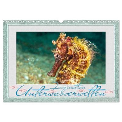 Faszination Unterwasserwelten (Wandkalender 2027 DIN A3 quer), CALVENDO Monatskalender