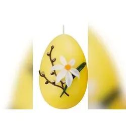 Eikerze Narzisse Citron 90 x Ø 60 mm, 6 Stück