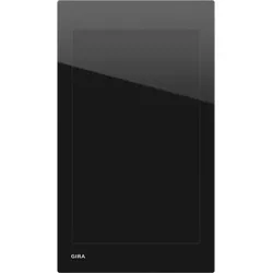Gira Displaymodul G1 208905