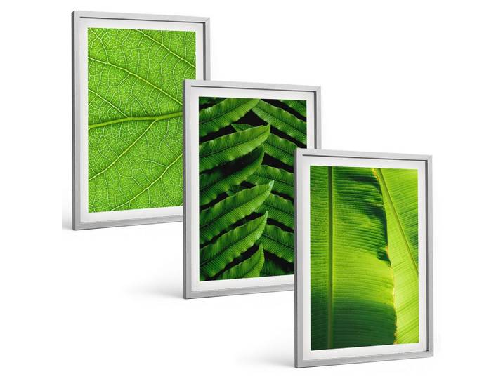 BILDER SET 3er Set - 40x60 cm Silberner Rahmen - Makrofotografie von tropischen Blättern