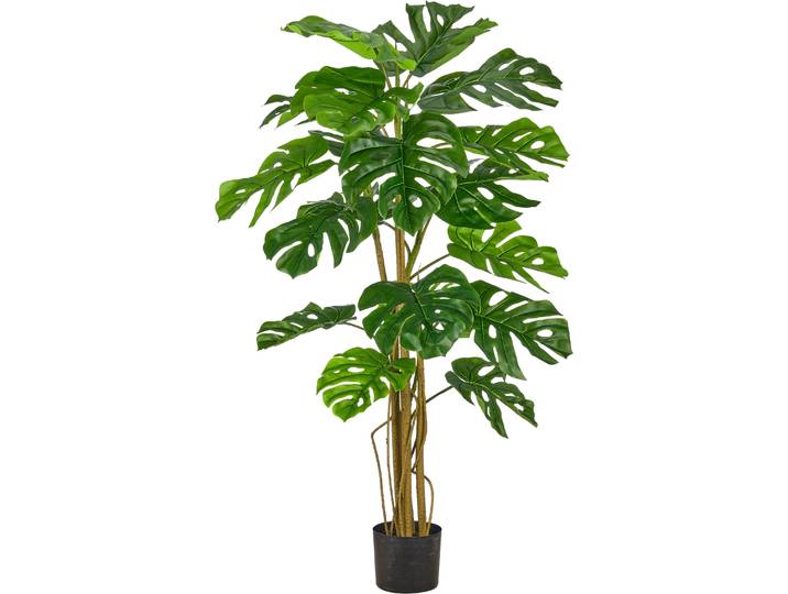 Creativ green Splitphilodendron mit naturgetreuem Blattwerk