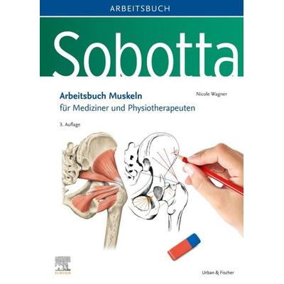 Sobotta Arbeitsbuch Muskeln, Gebundene Ausgabe von Nicole Wagner, Urban & Fischer in Elsevier, 978-3-437-41334-6
