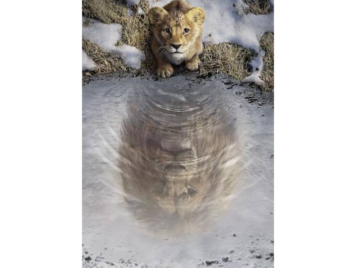 Komar Wandbild- Disney Mufasa The Lion King - Größe 50 x 70 cm - Poster, Kinderzimmer, Dekoration - gerollt ohne Rahmen