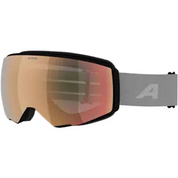 Alpina, Skibrille