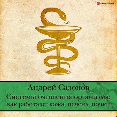 Sistemy ochishcheniya organizma: kak rabotayut kozha, pechen'; pochki - Andrey Sazonov, Audio, 9785171317409