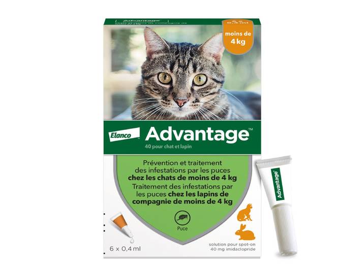 Advantage® Cat – Traitement anti-puces pour chats et lapins – Moins de 4 kg – 6 gouttes
