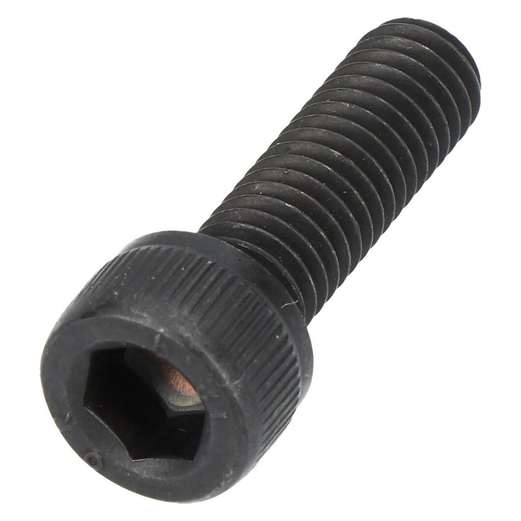 Shimano Ersatzteile (38736597)