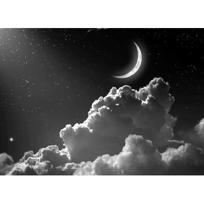 Papermoon "Nachthimmel Schwarz & Weiß"