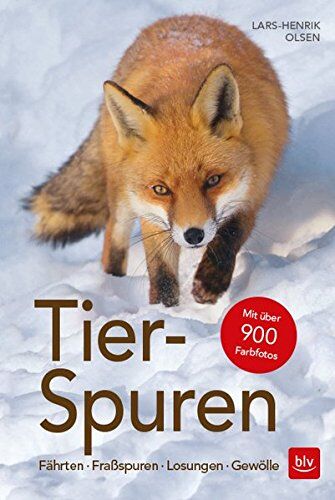 Lars-Henrik Olsen - Tier-Spuren: Fährten Fraßspuren Losungen Gewölle - Preis vom 14.10.2026 23:07:16 h