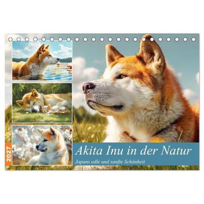 Akita Inu in der Natur. Japans edle und sanfte Schönheit (Tischkalender 2027 DIN A5 quer), CALVENDO Monatskalender