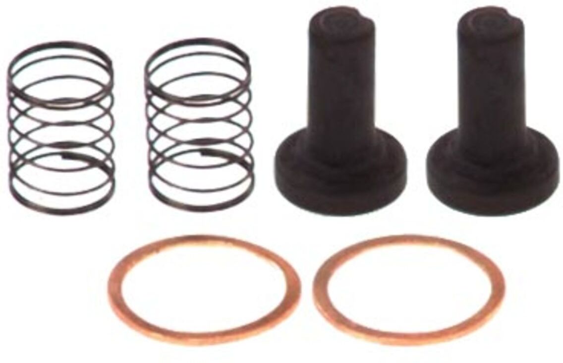 Bosch Filtro carburante 2 447 010 011