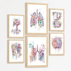POSTER Set aus 6 Anatomie Mensch Florale Aquarell Drucke und mit Gehirn Lungen Skelett Nieren und Organen Botanische Größe Rahmenlos A3 & A4
