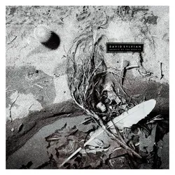 Amped, Schallplatten, Secrets Of The Beehive (David Sylvian)