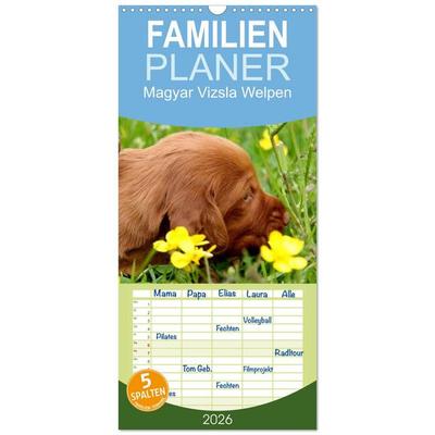 Familienplaner 2026 - Magyar Vizsla Welpen mit 5 Spalten (Wandkalender, 21 x 45 cm) CALVENDO