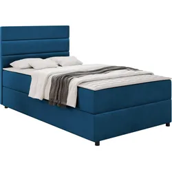 BOXBETT Elen - H3