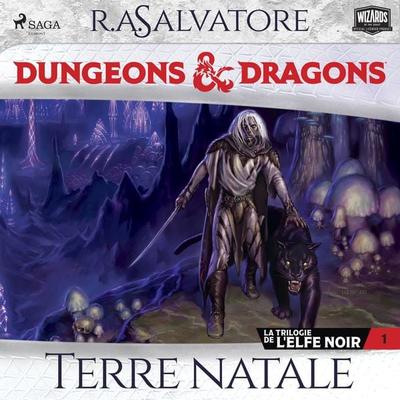 La Trilogie de l'Elfe noir – tome 1 – Terre natale - R.A. Salvatore, Audio, 4069828578500