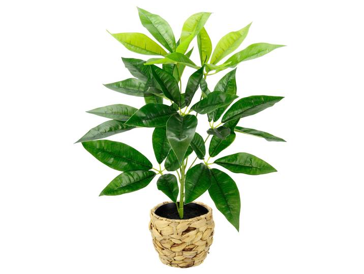 Kunstpflanze I.GE.A. Schefflera , grün, B:30cm H:48cm L:30cm, Kunstpflanzen, Kunstpflanze, Mit Übertopf Künstliche Seidenblumen