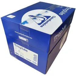 Clairefontaine, Kopierpapier, Karton mit cremeweissem A4-Papier 160 Gramm Trophée (A4, 250 Blätter, 160 g/m2)