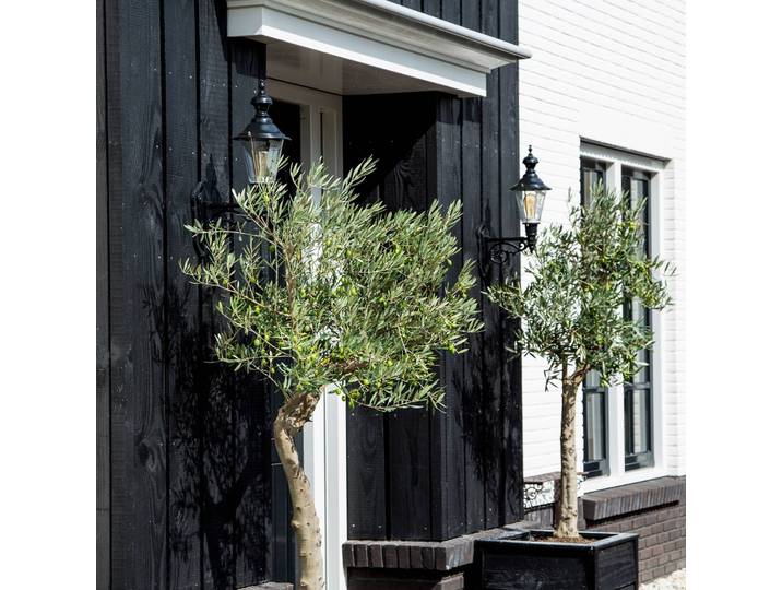 K.S. Verlichting Außenwandleuchte Edam M, dimmbar, grün, Aluminium, Landhaus / Rustikal, Laternenform