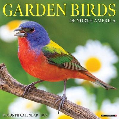 Garden Birds of North America 2027 12 X 12 Wall Calendar