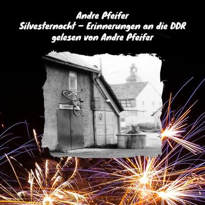 Silvesternacht - Andre Pfeifer, Audio, 9783690600255