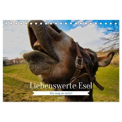 Liebenswerte Esel (Tischkalender 2027 DIN A5 quer), CALVENDO Monatskalender