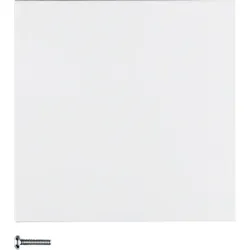 Berker Taste 1-fach polarweiß matt 85141188