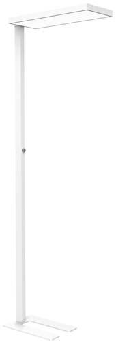 Maul 8257102 LED-Stehlampe LED Lichtquelle durch Elektrofachkraft austauschbar 62W Weiß