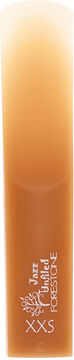 Forestone Unfiled Tenor Saxophone XXS