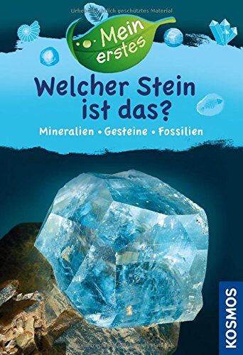 Rupert Hochleitner - Mein erstes Welcher Stein ist das?: Mineralien, Gesteine, Fossilien - Preis vom 09.10.2026 07:28:09 h