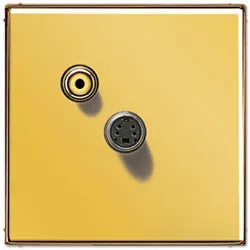 Jung Mutimedia-Einsatz Composite Video / S-Video (Gold)