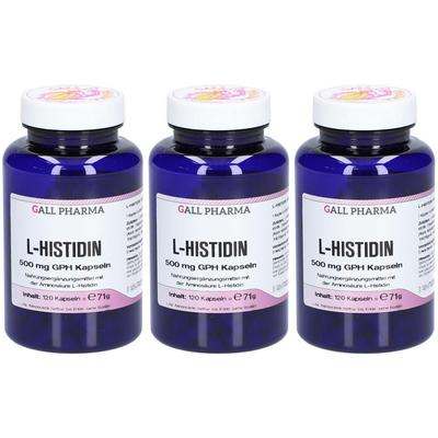 L-Histidin 500 mg GPH Kapseln x3 3x120 St