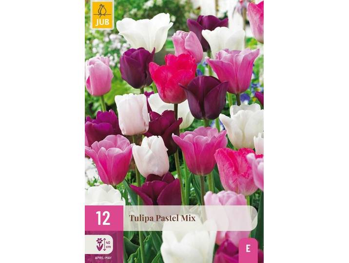 Tulp pastel mix 12 bollen
