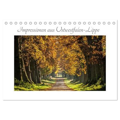 Impressionen aus Ostwestfalen-Lippe (Tischkalender 2026 DIN A5 quer), CALVENDO Monatskalender