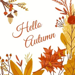 240x PAPER + DESIGN Bio Tissue-Serviette 33 x 33 cm Hello Autumn 3-lagig