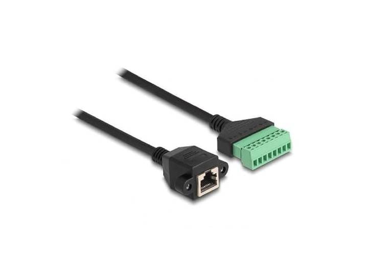 Delock RJ45 kabel Cat.6 bus naar terminalblok adapter voor inbouw 2 m 2-delig