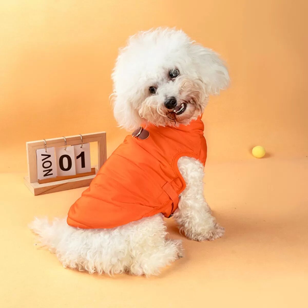 INF Warme Haustierweste mit Geschirr - Winterbekleidung für kleine Hunde & Katzen mit Zugfunktion XL Orange