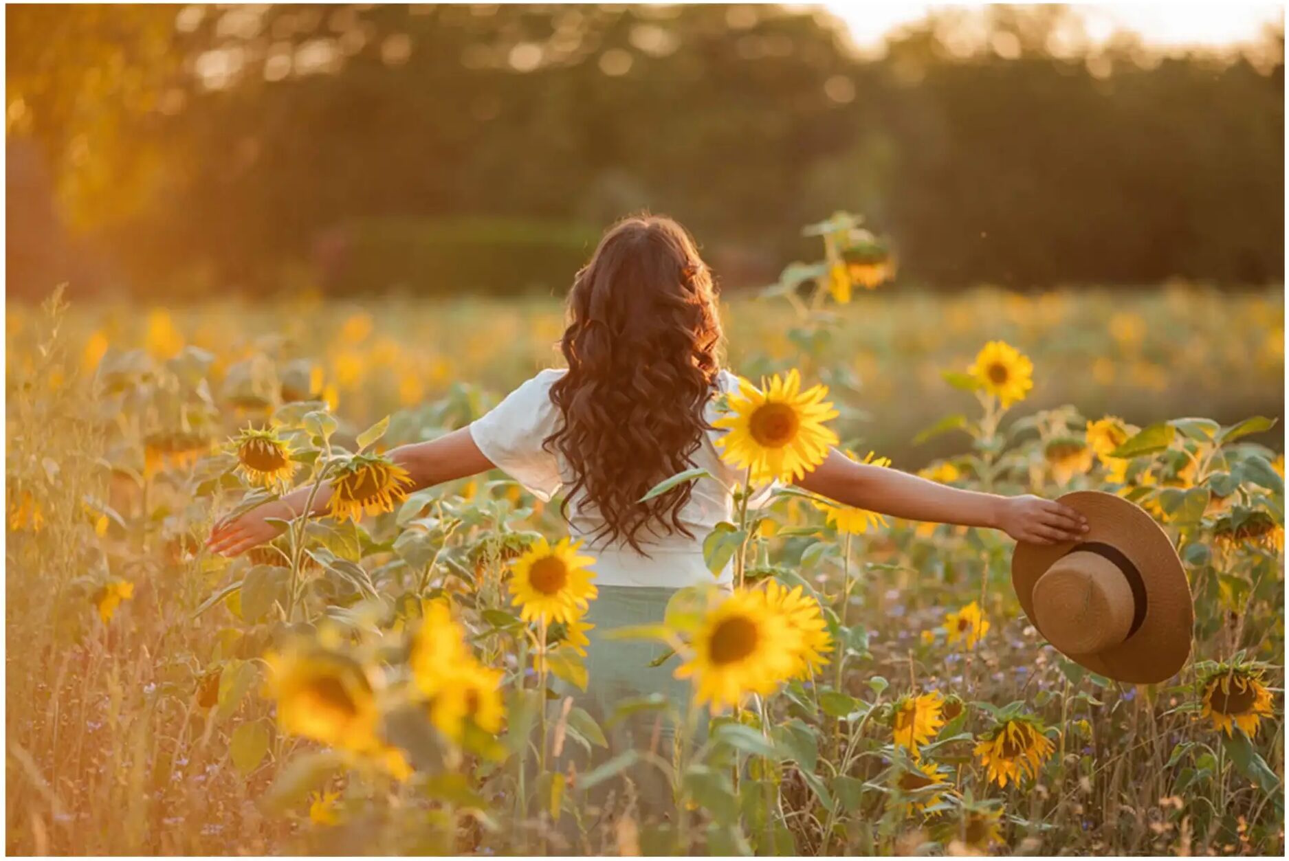 image LAND Mädchen im Sonnenblumenfeld