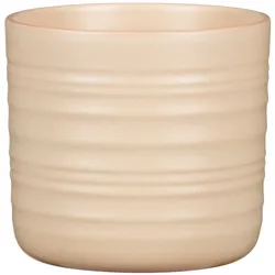 Scheurich DRY REED       14/850 Übertöpfe