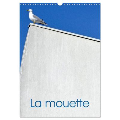 La mouette (Calendrier mural 2026 DIN A3 horizontal), CALVENDO calendrier mensuel