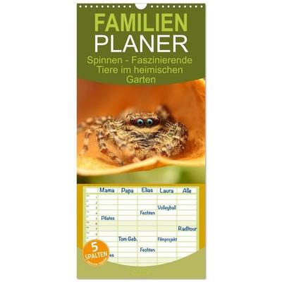 Familienplaner 2027 - Spinnen - Faszinierende Tiere im heimischen Garten mit 5 Spalten (Wandkalender, 21 x 45 cm) CALVENDO