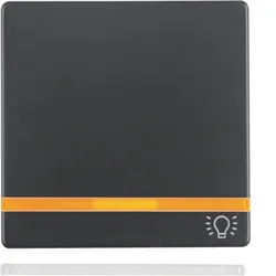 Berker 16216076 Wippe m 2 Linsen und Symbol Licht Q.x an