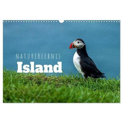 Naturerlebnis Island (Wandkalender 2027 DIN A3 quer), CALVENDO Monatskalender