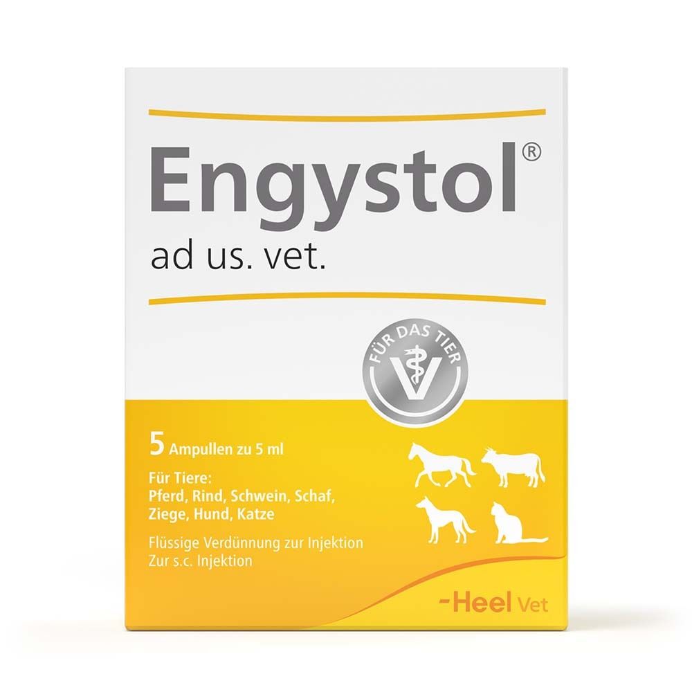 Engystol ad us.vet.Ampullen 5 St Ampullen