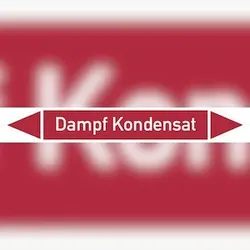 Rohrleitungskennzeichen Dampf Kondensat - 100x15 mm Folie selbstklebend