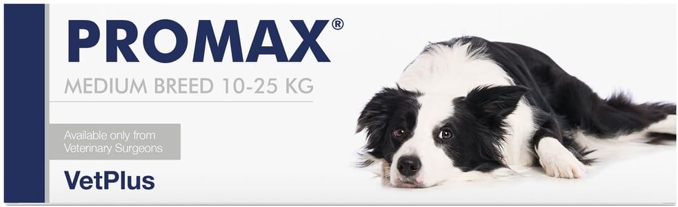 Vetplus Promax Raças Médias 18 ml