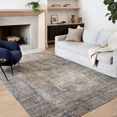 Alexander Home Josefina Distressed Abstract Contemporary Rug