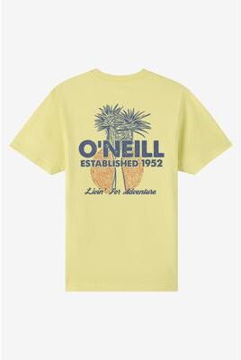 O'Neill s Landmark Classic T-Shirt in Celery, Size Large